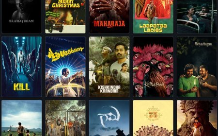 20 Underrated Best Indian Movies of 2024 You Should Not Miss