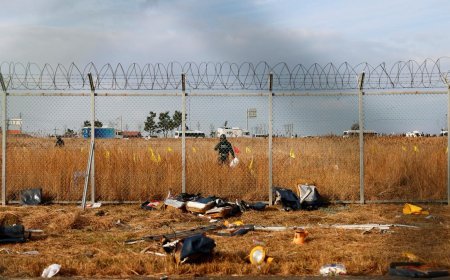 Tragic Jeju Air Flight 2216 Crash in South Korea: 179 Lives Lost