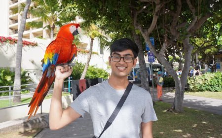 Suicide or Murder ? Unanswered Questions in the Mysterious Death of OpenAI Whistleblower Suchir Balaji and the Fight for Justice