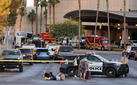 Tesla Cybertruck Explosion Outside Trump Hotel in Las Vegas: Elon Musk Responds