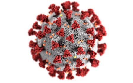 Human Metapneumovirus (HMPV) Outbreak in China