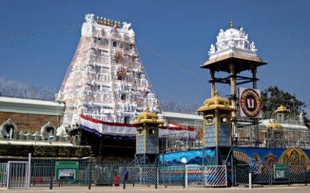 Tirupati Temple Hundi Collections in 2024: A Record-Breaking ₹1,365 Crore