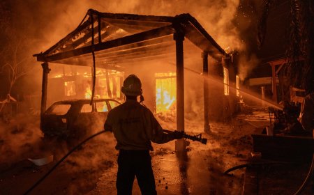 Los Angeles California Wildfires Are Getting Worse : Death Toll Rises to 10 While 35,000 Acres Have Been Burned