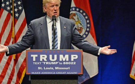 Donald Trump's $5 Million 'Gold Card' Visa Proposal - What It Means