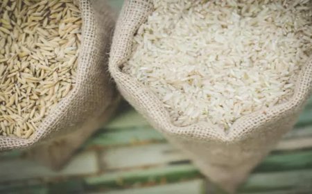 India Lifts Rice Export Ban: Impact on Economy & Global Trade