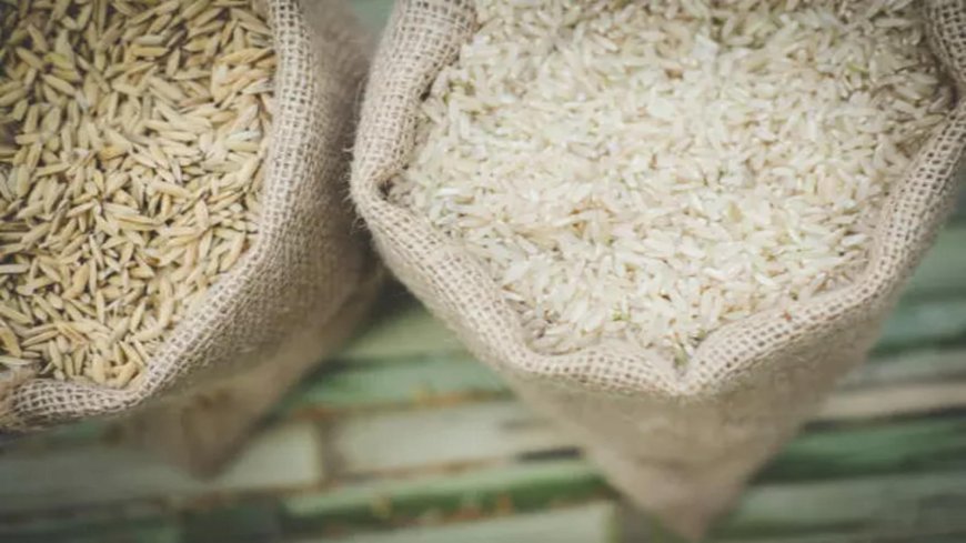 India Lifts Rice Export Ban: Impact on Economy & Global Trade