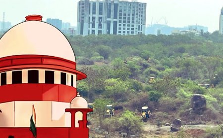 Supreme Court Orders Telangana to Restore 100 Acres of Kancha Gachibowli Forest