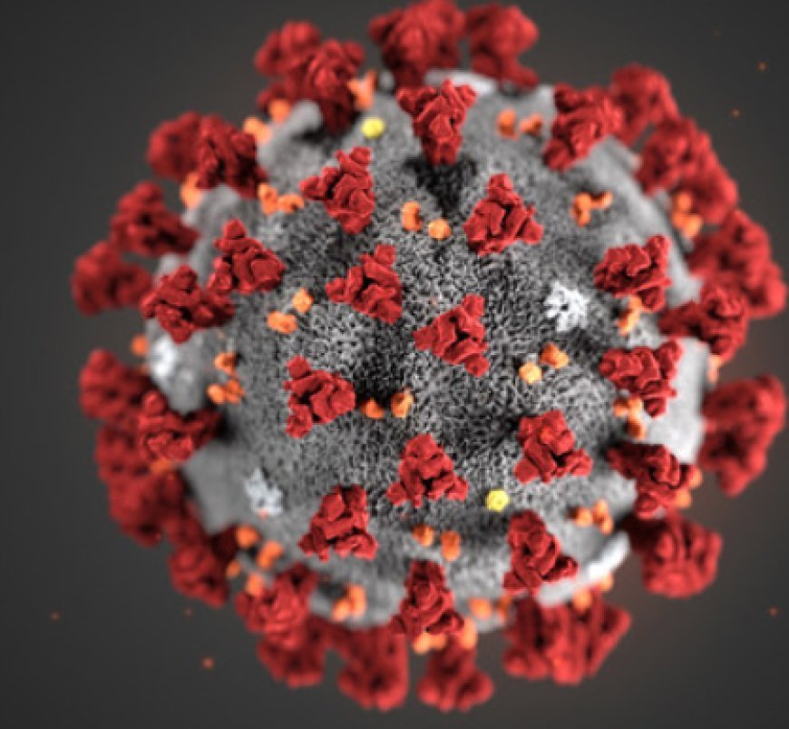 COVID Surge in India: 257 New Cases Rise Amid Omicron Variant