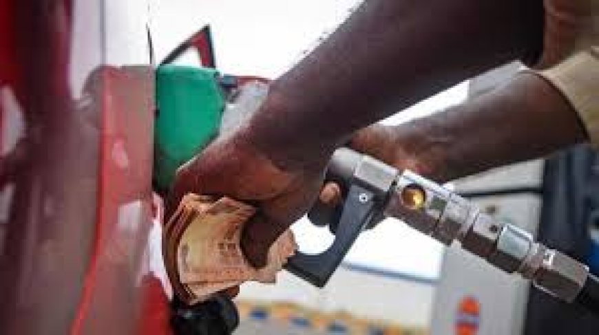 Fuel Prices on June 20, 2025: Chennai's Drop Contrasts National Stability